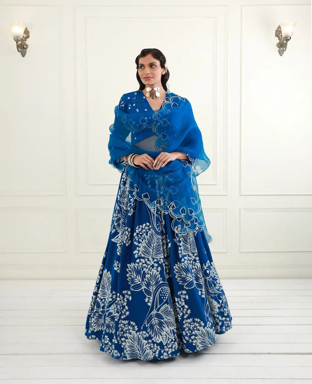 Embroidered Lehenga Set