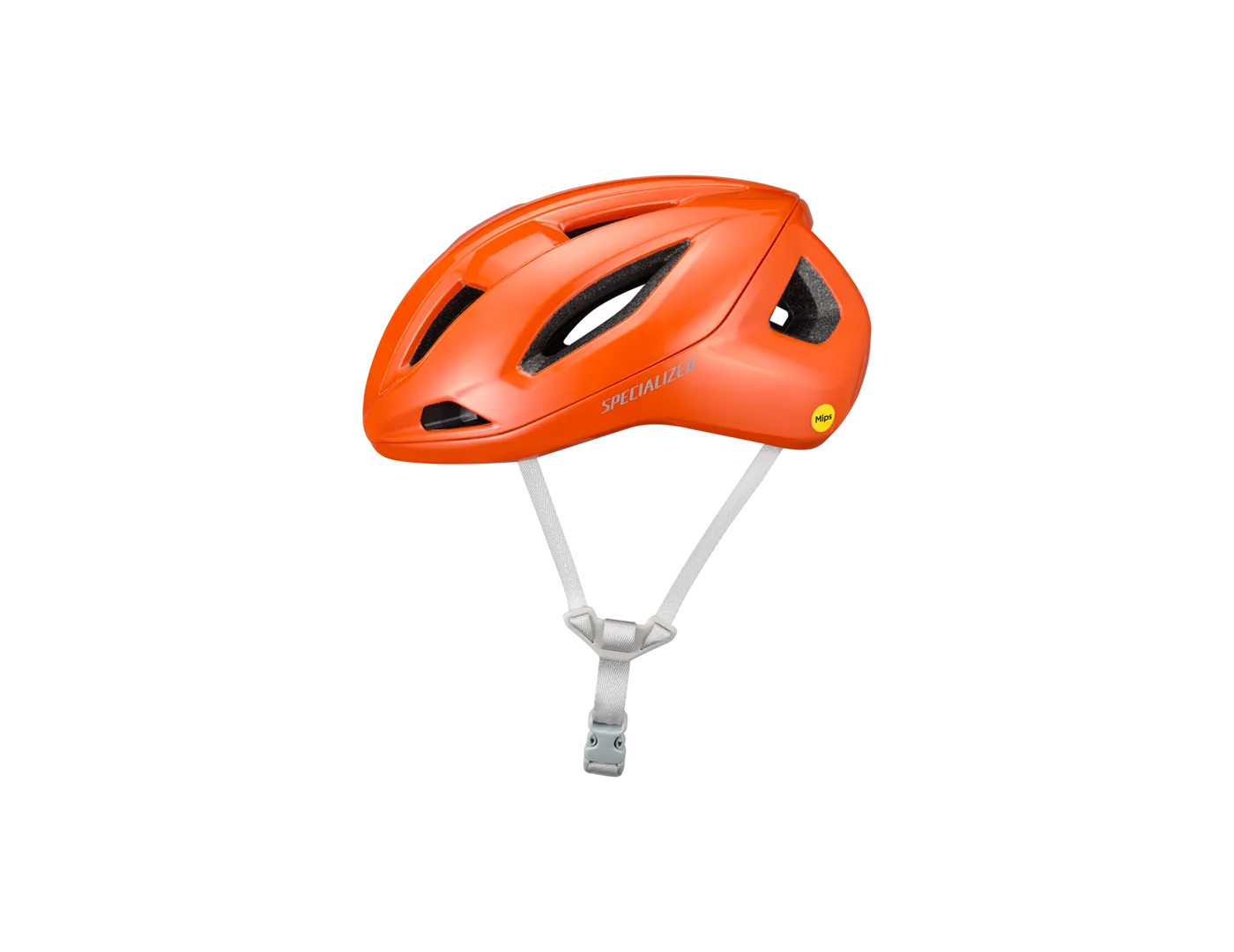 Search Helmet